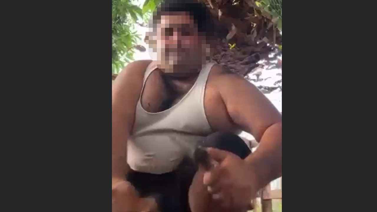 Kuşlara yaptıklarını kaydedip paylaştı! İşte kuşların kafasını ağzıyla koparan adamın görüntüleri...