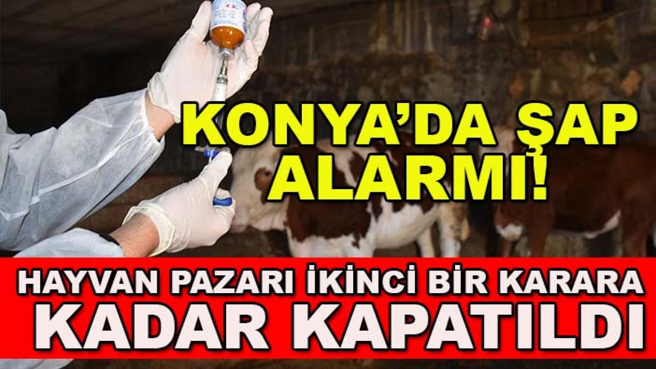 Konya’da şap alarmı! Hayvan pazarı ikinci bir karara kadar kapatıldı