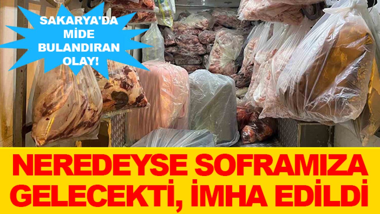 Sakarya'da mide bulandıran olay! Neredeyse soframıza gelecekti, imha edildi
