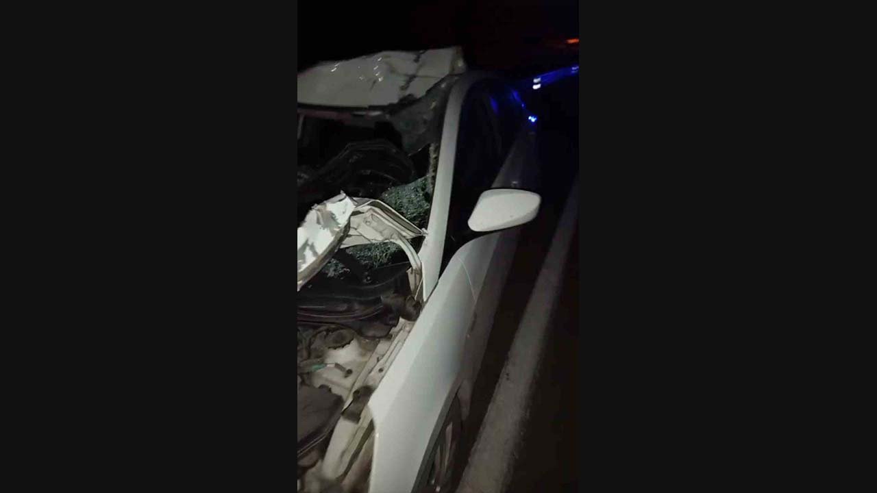 Otomobil ineğe çarptı: Yaralılar arasında bebek de var