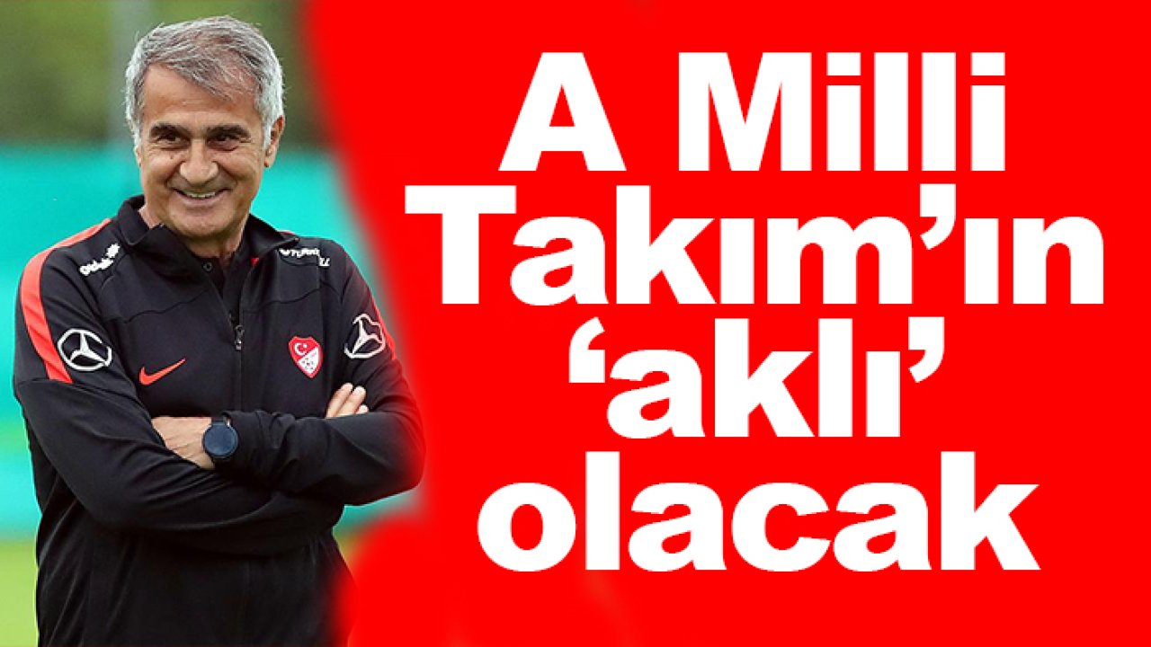 A Milli Takım'ın beyni 'Şenol Güneş' olacak
