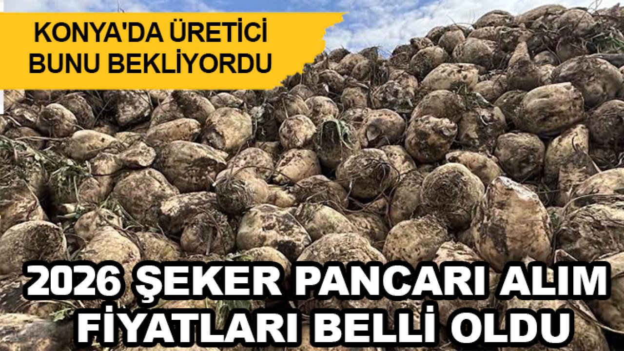 Konya'da üretici bunu bekliyordu: 2026 şeker pancarı alım fiyatları belli oldu