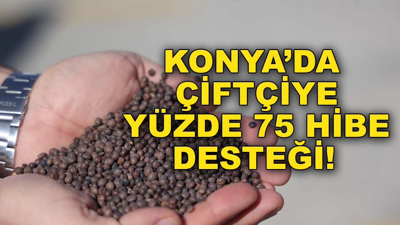 Konya’da çiftçiye yüzde 75 hibe desteği! 134 bin kilo dağıtıldı
