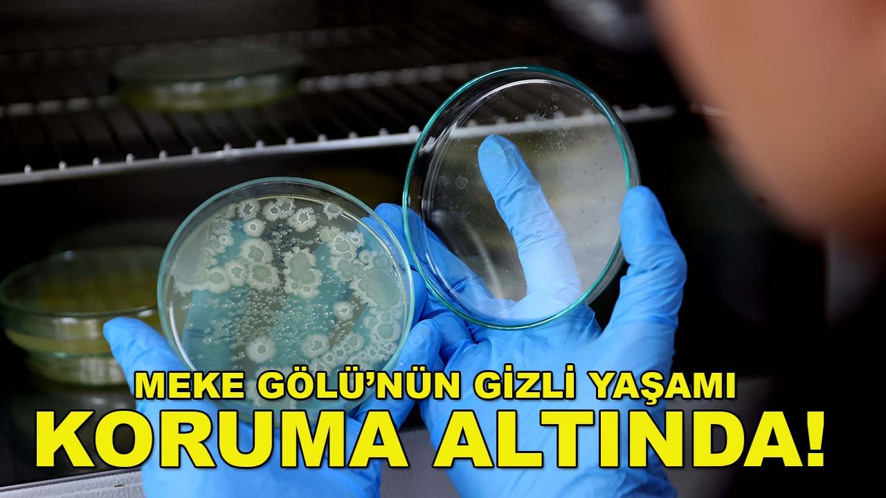 Meke Gölü’nün gizli yaşamı koruma altında! Eksi 80 derecede saklanıyor