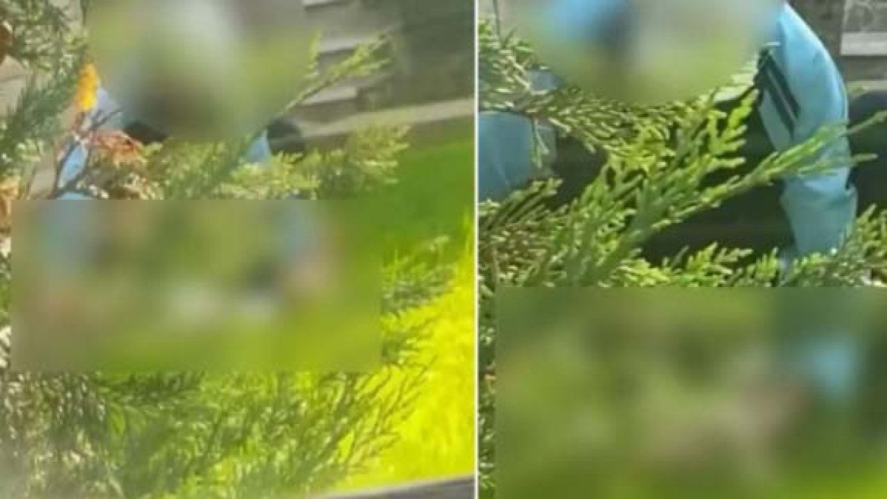 İstanbul'da mide bulandıran olay! Beddua ederek kaydetti
