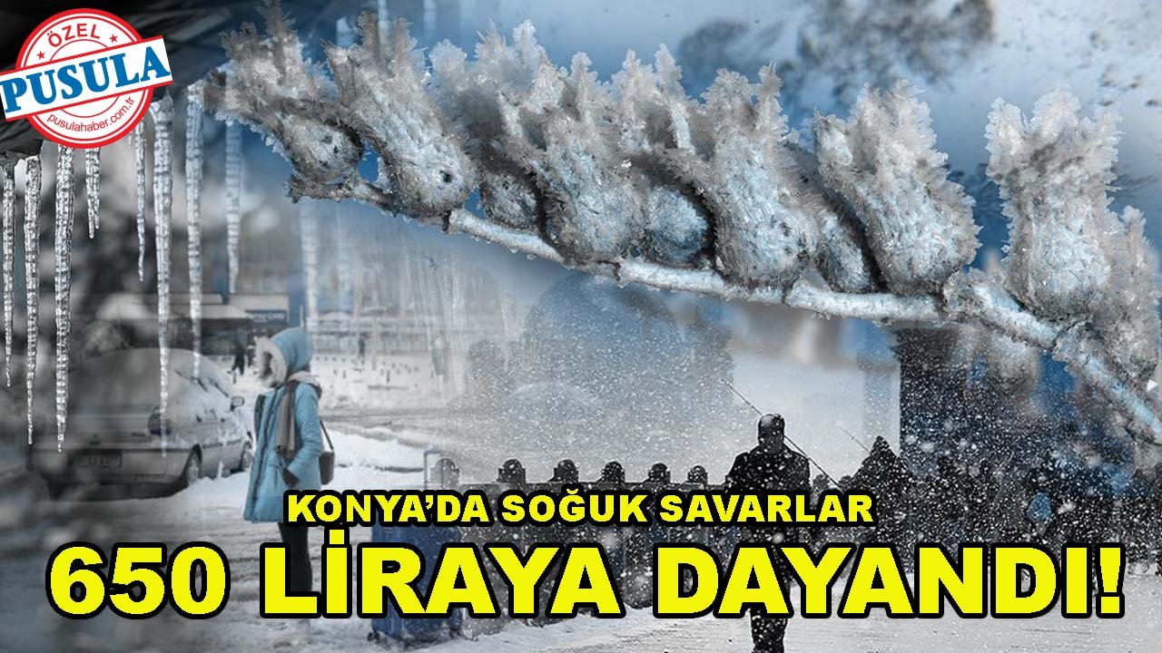Konya’da soğuk savarlar 650 liraya dayandı!