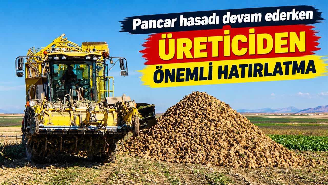 Pancar hasadına devam eden üreticiden önemli hatırlatma