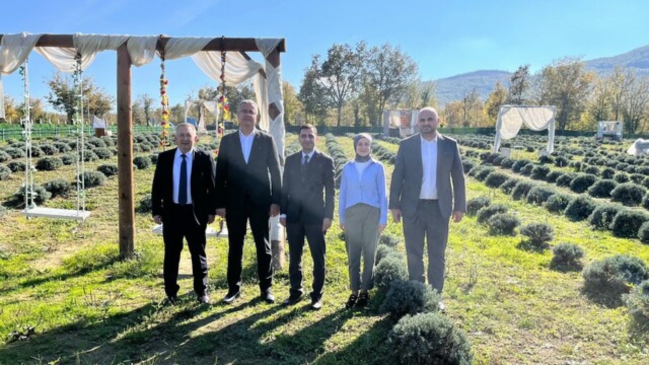 Samsun’da kadın üreticinin lavanta bahçesi dikkat çekti!