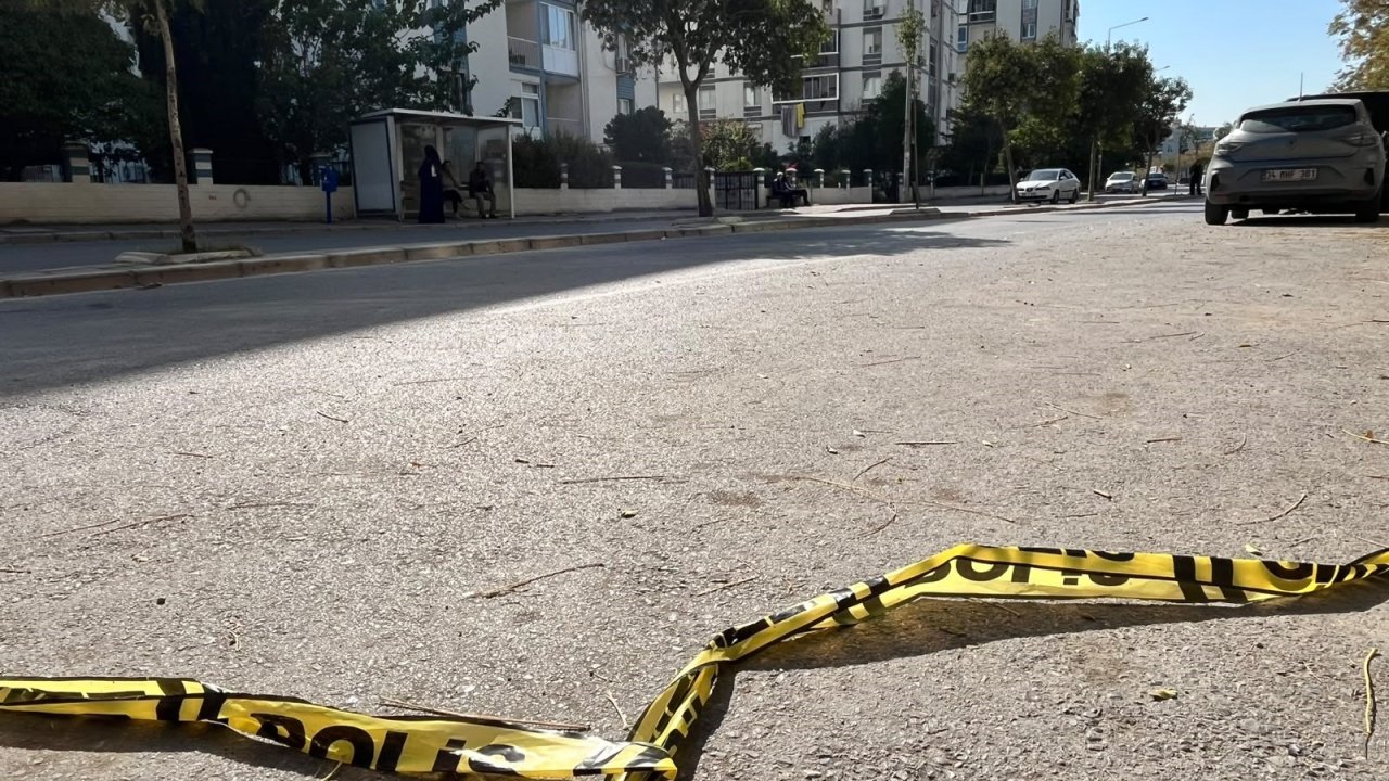 Emekli astsubay kardeşini öldürdü!