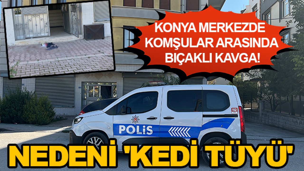 Konya merkezde komşular arasında bıçaklı kavga! Nedeni 'kedi tüyü'