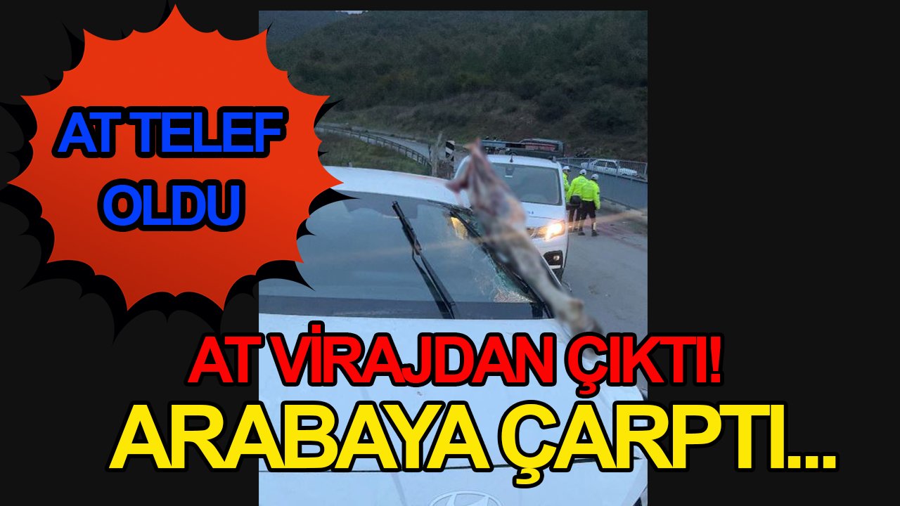 At virajdan çıktı! Arabaya çarptı...