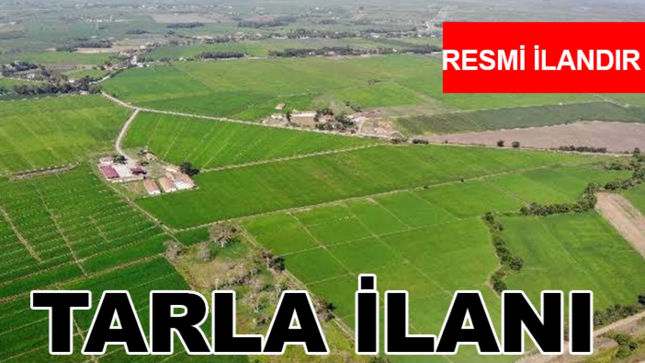 Tarla ilanı