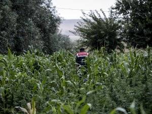 Şanlıurfa'da Uyuşturucu Operasyonu
