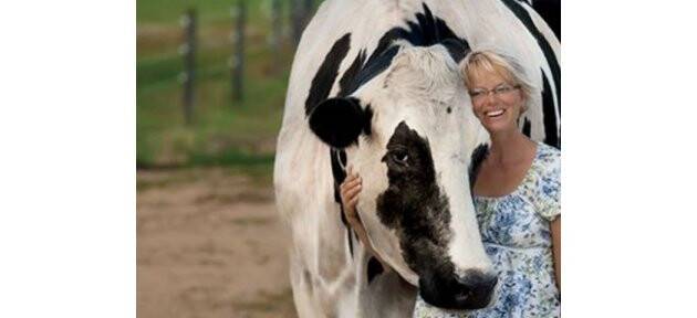 Dünyanın En Uzun İneği Seçildi