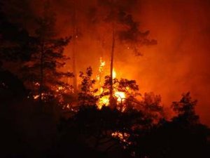Marmaris'teki Yanan Orman Alanı Havadan Görüntülendi