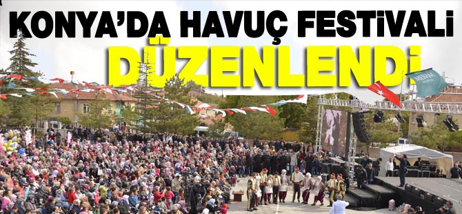 Konya'da havuç festivali düzenlendi