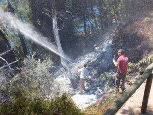 Marmaris'teki Orman Yangını Söndürüldü
