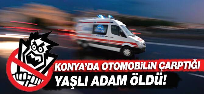 Otomobilin çarptığı yaşlı adam öldü