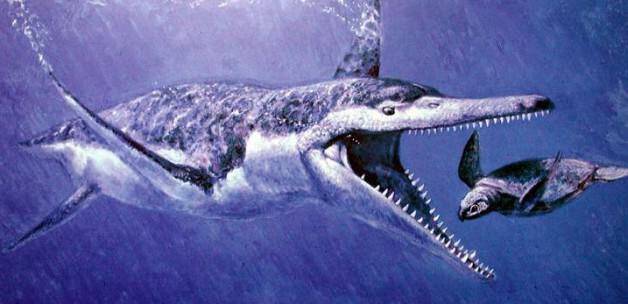 Gebze'de 340 milyon yıllık dinozor bulundu