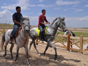 Meram Belediyesinin Rahvan Atları Tesisi Devredildi