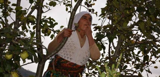 'Göğe Islık Çalan Kadınlar' belgesel oldu