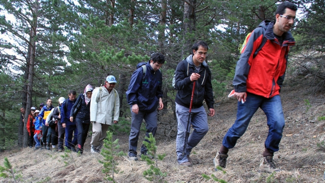 Yalova'da Doğa Yürüyüşüne Çıkan Öğrencilerin Kaybolması