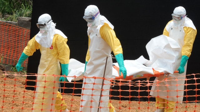 Avustralya Ebola İle Mücadele İçin Sierra Leone'ye Sağlık Ekibi Gönderecek