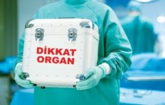 Organ Bekleyen Kaç Hasta Var?