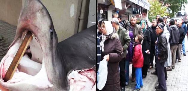 Dev köpekbalığının 2 buçuk saatte iskeleti kaldı