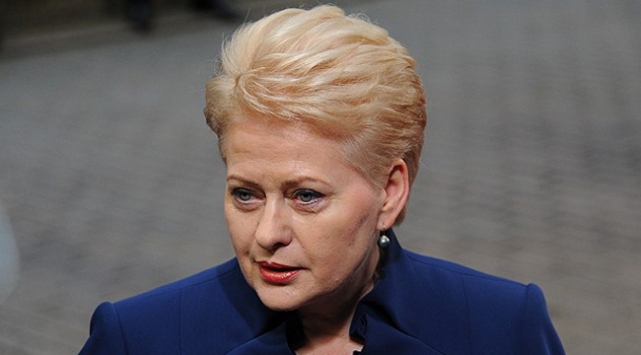 Litvanya Cumhurbaşkanı: Türkiye kararlılığın temsilcisi