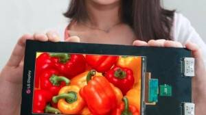 Japon Devinden Quad Bombası!