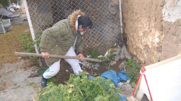 Engelli kedi bakım evinin zemininden kedi leşleri çıktı