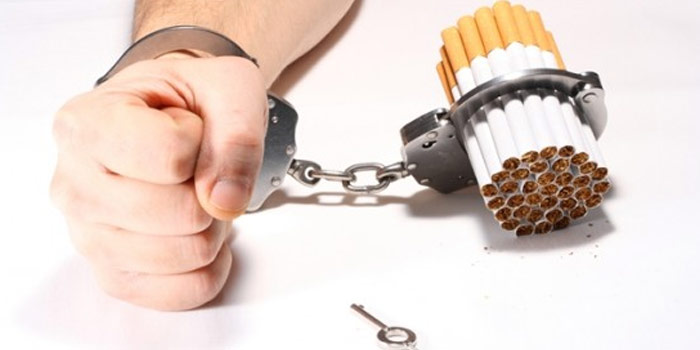 Erzincan'da 61 Bin 500 Paket Kaçak Sigara Ele Geçirildi