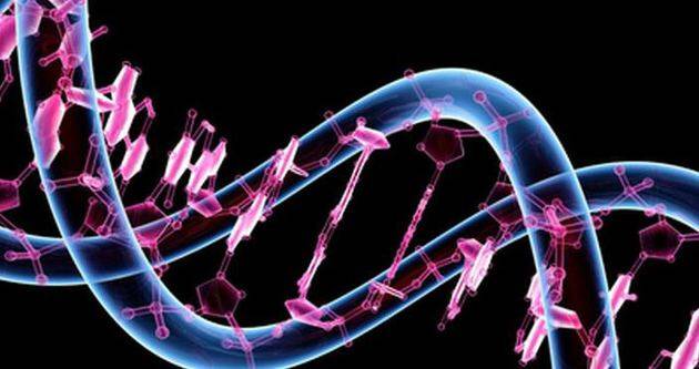DNA yüklü roket uzaya ulaştı