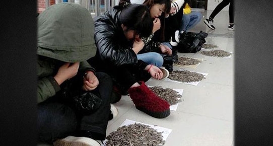 Çinli öğretmenden '15 kilo çekirdekli' ceza