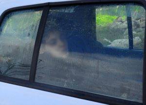 Genç kız 7 aydır arabada yaşıyor