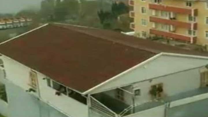 İstanbul‘un göbeğinde hayvanlara eziyet