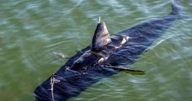 ABD'nin yeni silahı: Casus balık