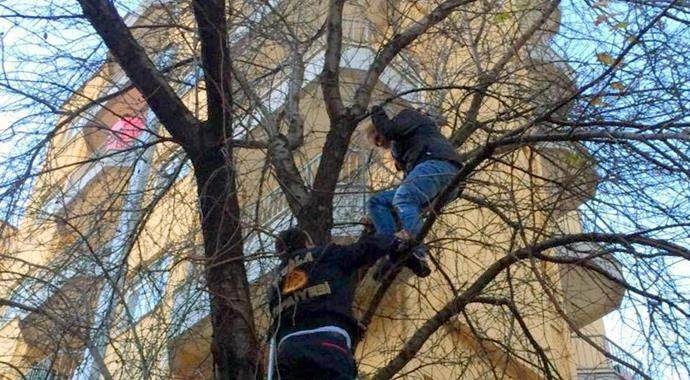 Kediyi kurtarmak için çıktığı ağaçta mahsur kaldı