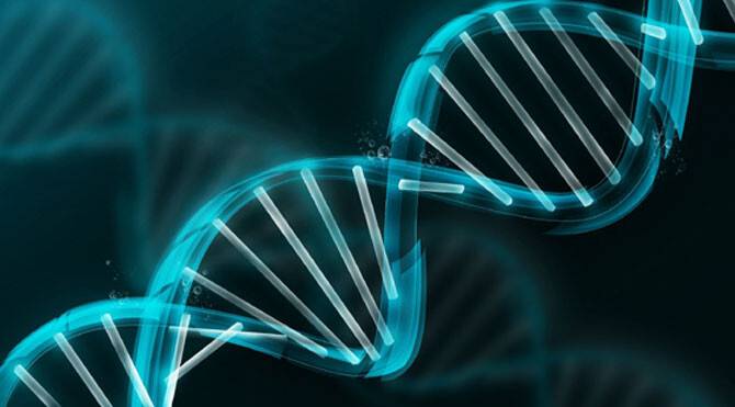 Rusya’dan “Nuh’un gemisi” projesi