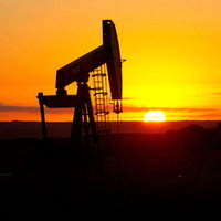 WTI petrol stok verisi ile kazancını azalttı