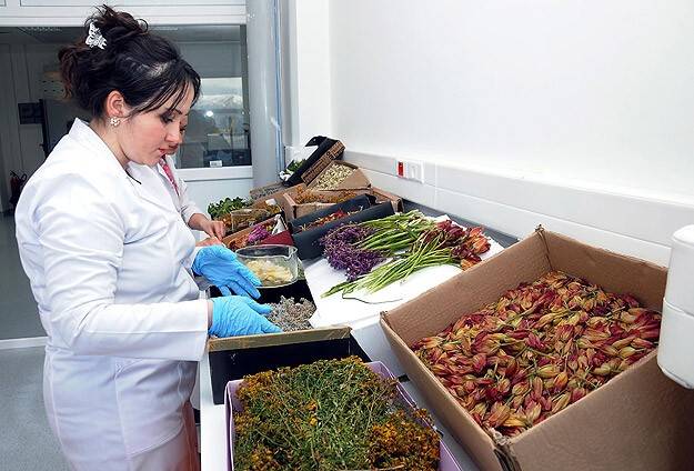 Bitkilere kozmetik ürün yolunda bilimsel dokunuş