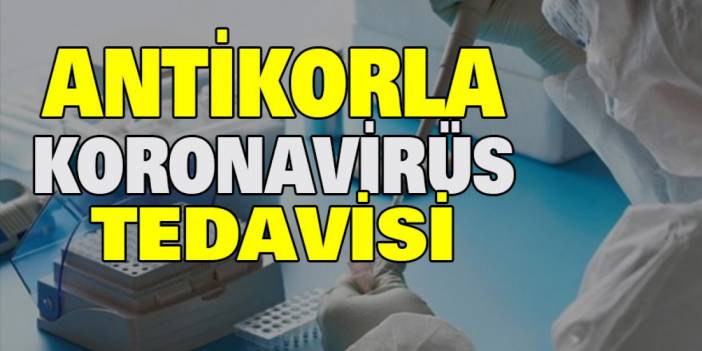 Antikorla koronavirüs tedavisi