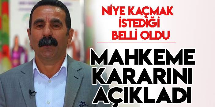 Hakkari Belediye Başkanlığı görevinden uzaklaştırılan Akış'a 19,5 ay hapis cezası verildi