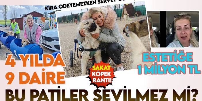 Büyük rant! Patiler Derneği Başkanı Buket Özgünlü'nün köpek serveti şaşırttı!