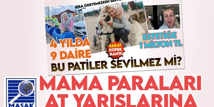 Kirayasını ödeyemezken servet yapan 'Patiler Derneği Başkanı' mama bağışlarıyla at yarışı da oynamış!