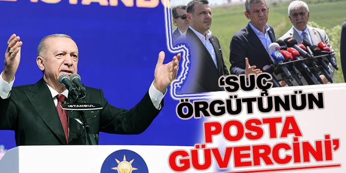 Cumhurbaşkanı Erdoğan'dan Özgür Özel'e: "Suç örgütünün posta güvercini gibi"
