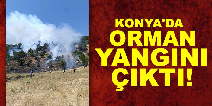 Sondakika: Konya'da orman yangını çıktı! Ekipler müdahale ediyor