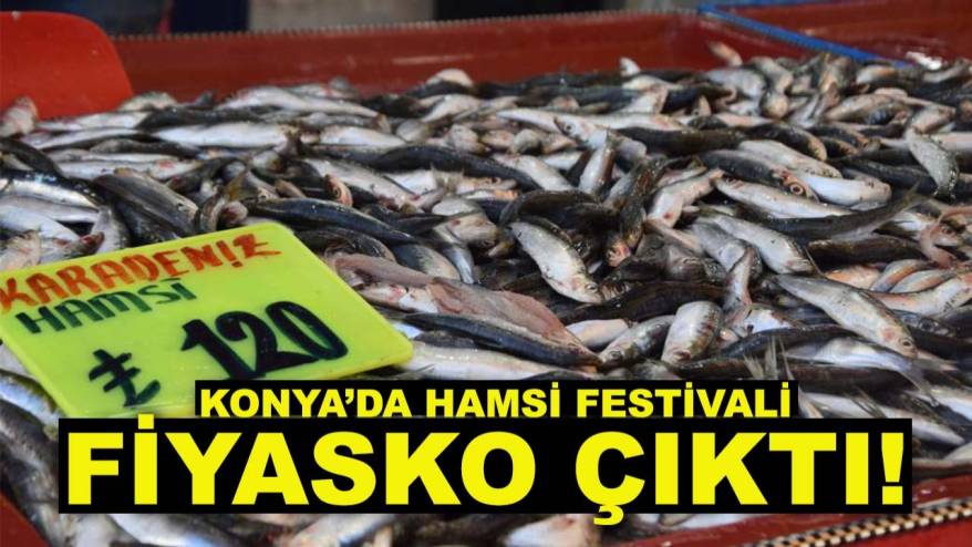 Konya’da hamsi festivali fiyasko çıktı! Konyalılar eli boş döndü