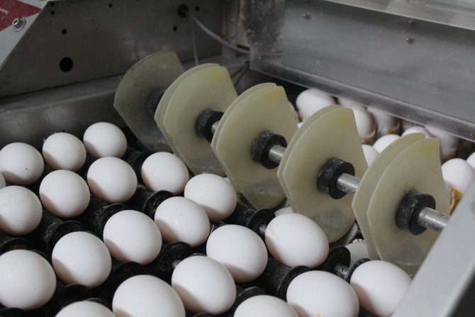 Yumurta iç piyasada kaldı, fiyatı düştü